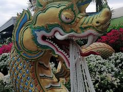 -东芭乐园