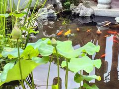 -道南書院·私房菜·早午茶·茶馆