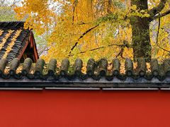 -成都杜甫草堂博物馆