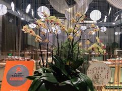 -素慧餐厅(大虹桥店)
