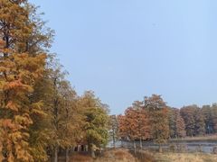 -四明湖