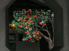 -留园