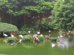 -九龙公园