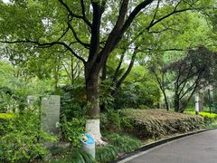 -苏州河梦清园环保主题公园