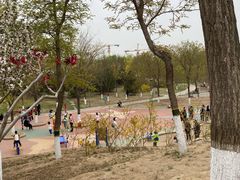 -大兴滨河森林公园