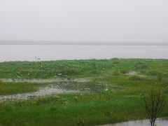 -七的湖·晚芳亭·阳澄湖农家菜·大闸蟹(莲花岛店)