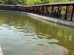 -山叶口景区