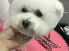 -宠福鑫康馨动物医院·骨科·眼科