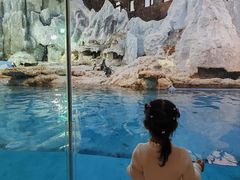 -帝企鹅自助餐厅•儿童岛•真企鹅(长隆企鹅酒店)