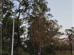 -火炉山森林公园