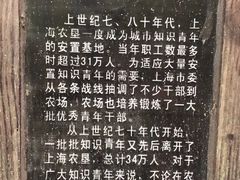 -东平国家森林公园