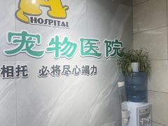 -半岛宠物医院24小时(白果林店)
