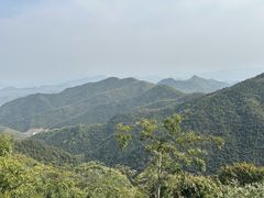 -莫干山风景区