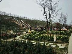 -绵阳盛世樱花悠乐谷