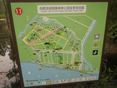 -合肥滨湖国家森林公园