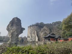 -鲁镇