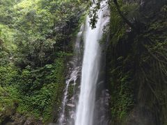 -莫里热带雨林景区