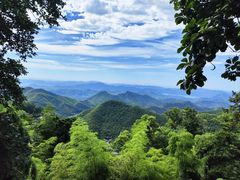 -莫干山风景区