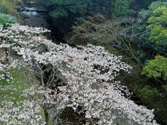 -月光园游月山庄