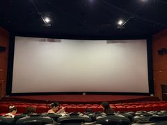 -卢米埃影城(长楹天街IMAX激光店)