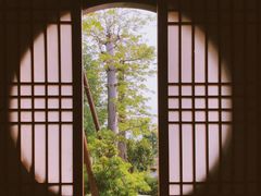 景观位-瑭风赏阁