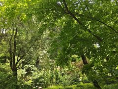 -大连植物园