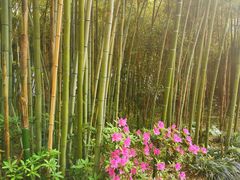 -苏州河梦清园环保主题公园