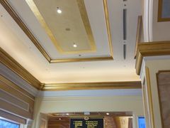 -澳门威尼斯人综合度假区