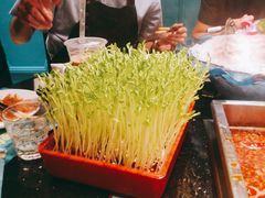 -五星桥原切肥牛火锅·30年专注好牛肉(湖塘店)