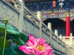 -皇罗禅寺