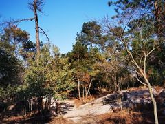 -南京市无想山景区