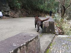 -白云源风景区