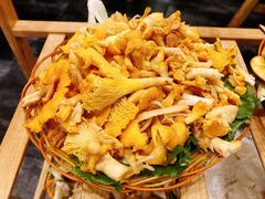 -易门野生菌府·菌海森林(月牙潭公园店)