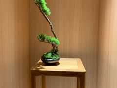 -文三酒肆自助放题(新街口友谊广场店)