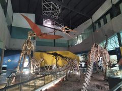 -湖南省地质博物馆