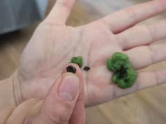 -王家沙点心店(万航渡路店)