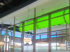 -洪氏嗨捞·广东猪肚鸡·椰子鸡火锅(西咸万象城店)
