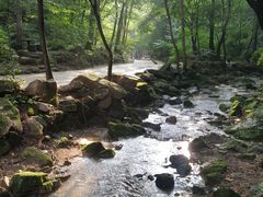 -本溪汤沟绿石谷森林公园