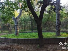 -北陵公园