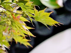 -汇龙潭