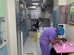 -北京观赏动物医院·24小时大型综合·猫专科·异宠专科