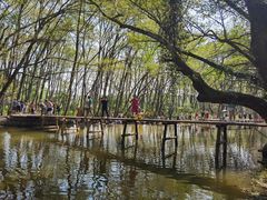 -西溪南古村落景区