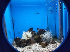 -锦艺城海洋馆