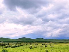 -塞罕坝国家级自然保护区