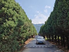 -秦始皇帝陵博物院-丽山园