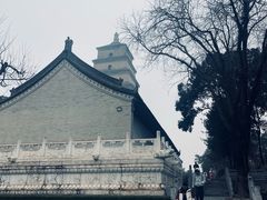 -大慈恩寺(大雁塔)
