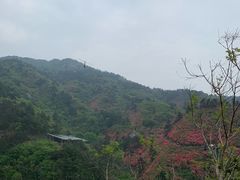 -木兰云雾山