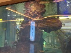 -碧桂园凤凰城酒店(南京店)