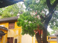 -宝通禅寺