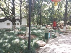 -瀛洲公园